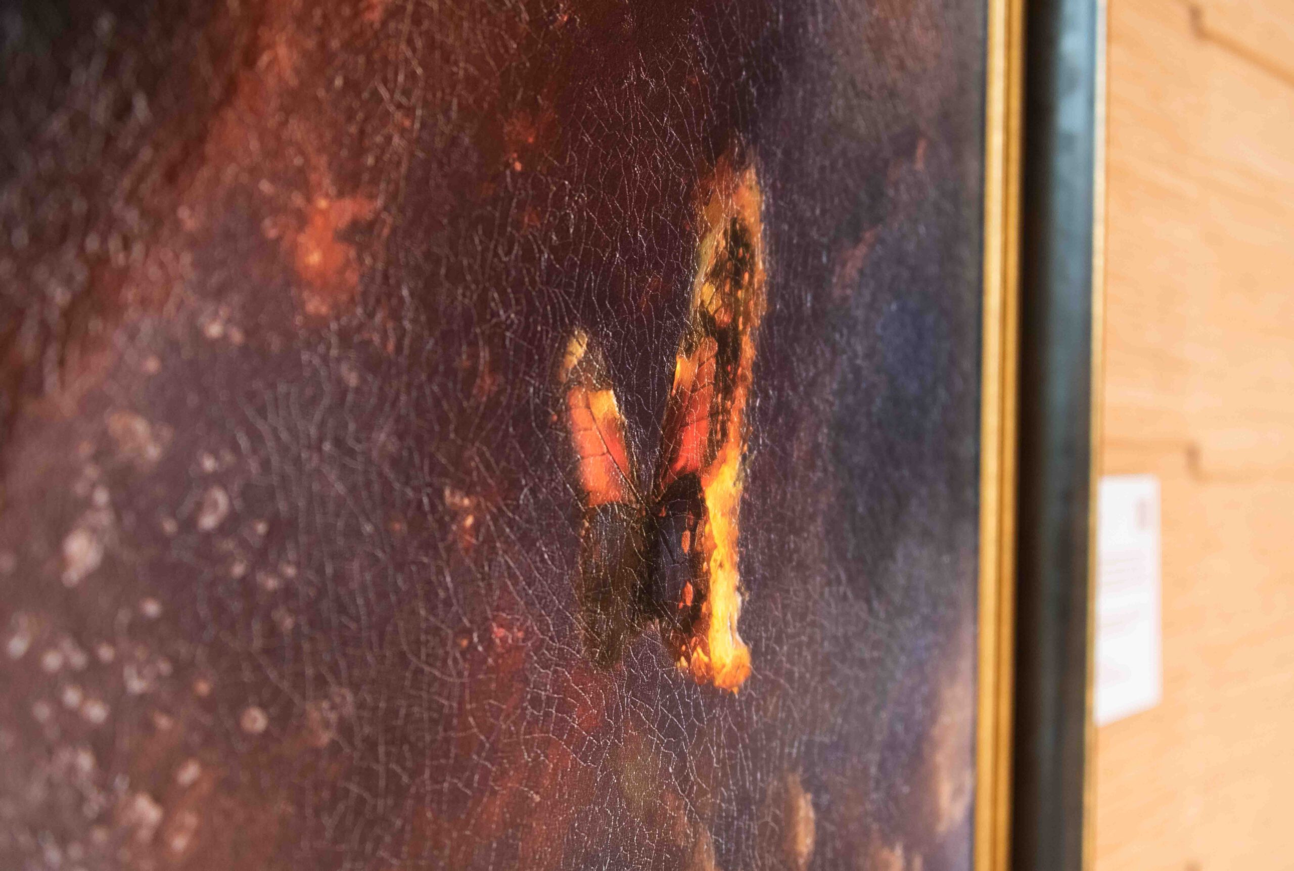 Atlas - On Borrowed Ground - Image 9